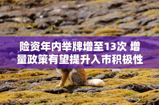 险资年内举牌增至13次 增量政策有望提升入市积极性