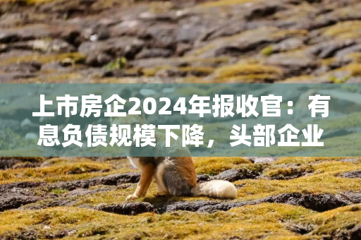 上市房企2024年报收官：有息负债规模下降，头部企业投资聚焦核心城市