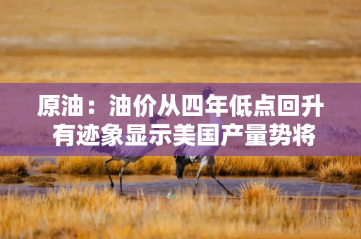 原油：油价从四年低点回升 有迹象显示美国产量势将下滑