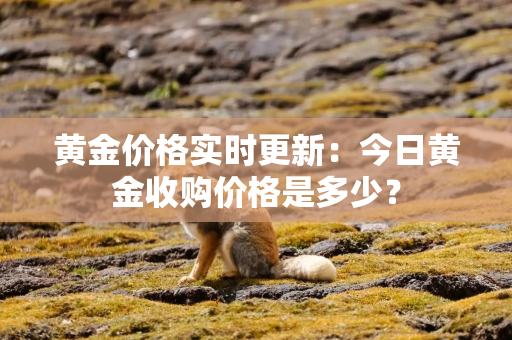 黄金价格实时更新：今日黄金收购价格是多少？
