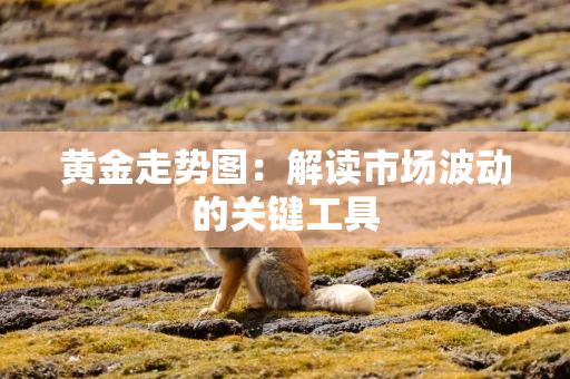 黄金走势图：解读市场波动的关键工具