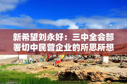 新希望刘永好：三中全会部署切中民营企业的所思所想