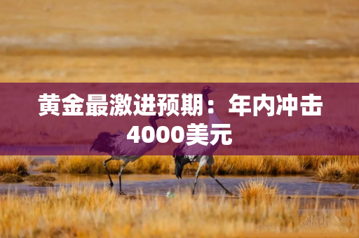 黄金最激进预期：年内冲击4000美元