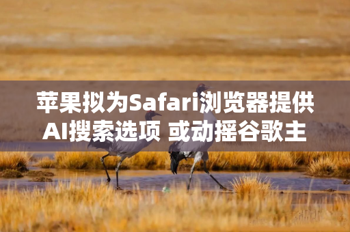 苹果拟为Safari浏览器提供AI搜索选项 或动摇谷歌主导地位