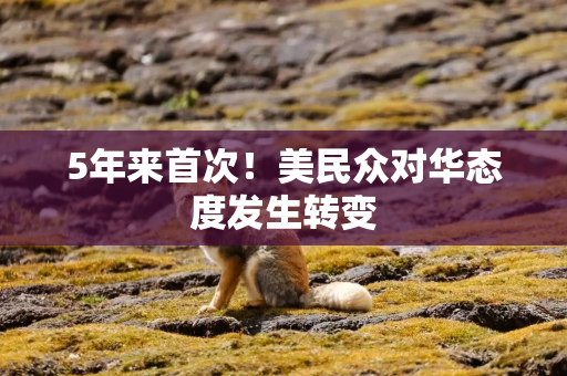 5年来首次！美民众对华态度发生转变
