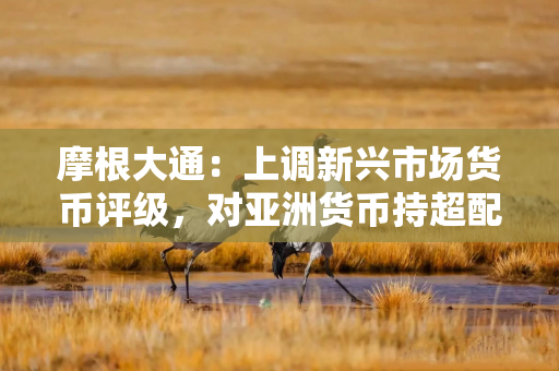 摩根大通：上调新兴市场货币评级，对亚洲货币持超配评级