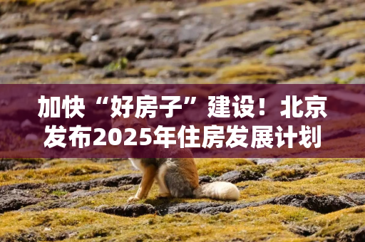 加快“好房子”建设！北京发布2025年住房发展计划