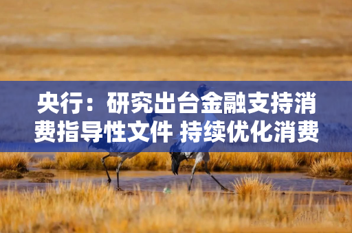 央行：研究出台金融支持消费指导性文件 持续优化消费信贷产品和服务