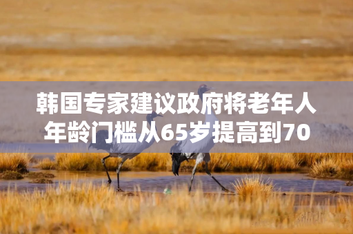 韩国专家建议政府将老年人年龄门槛从65岁提高到70岁