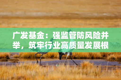 广发基金：强监管防风险并举，筑牢行业高质量发展根基