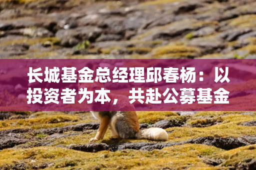 长城基金总经理邱春杨：以投资者为本，共赴公募基金高质量发展新征程