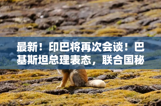 最新！印巴将再次会谈！巴基斯坦总理表态，联合国秘书长发声