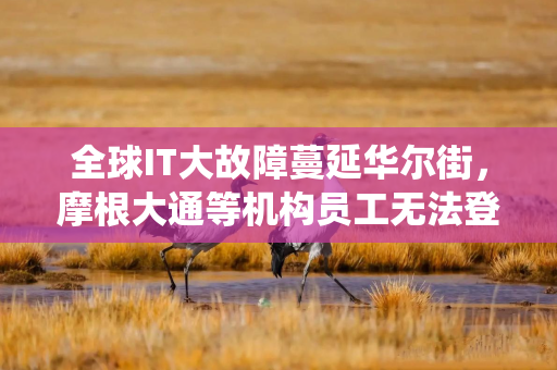 全球IT大故障蔓延华尔街,摩根大通等机构员工无法登陆系统