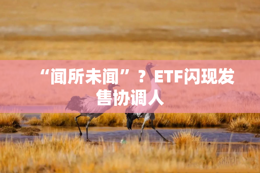 “闻所未闻”？ETF闪现发售协调人