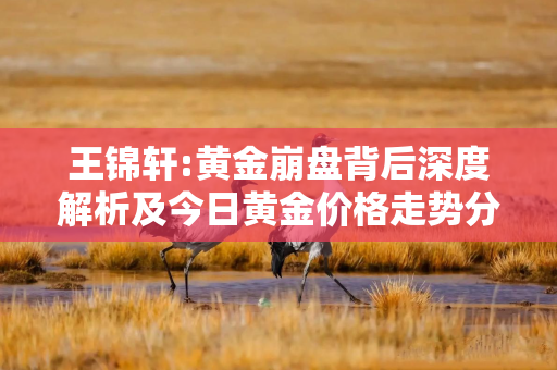王锦轩:黄金崩盘背后深度解析及今日黄金价格走势分析
