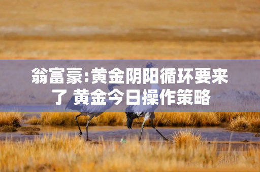 翁富豪:黄金阴阳循环要来了 黄金今日操作策略