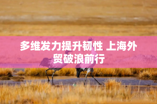 多维发力提升韧性 上海外贸破浪前行