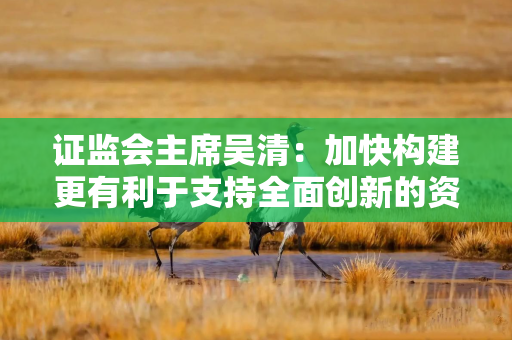 证监会主席吴清：加快构建更有利于支持全面创新的资本市场生态