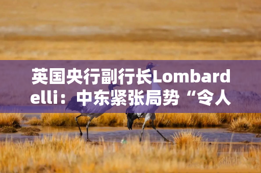 英国央行副行长Lombardelli：中东紧张局势“令人深感担忧”