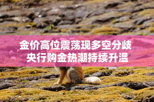 金价高位震荡现多空分歧 央行购金热潮持续升温