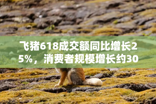飞猪618成交额同比增长25%，消费者规模增长约30%