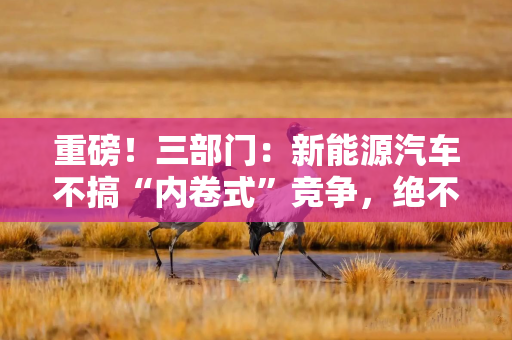 重磅！三部门：新能源汽车不搞“内卷式”竞争，绝不能偷工减料、以次充好