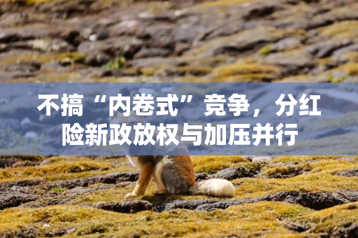 不搞“内卷式”竞争，分红险新政放权与加压并行