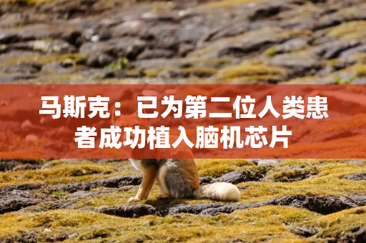 马斯克：已为第二位人类患者成功植入脑机芯片