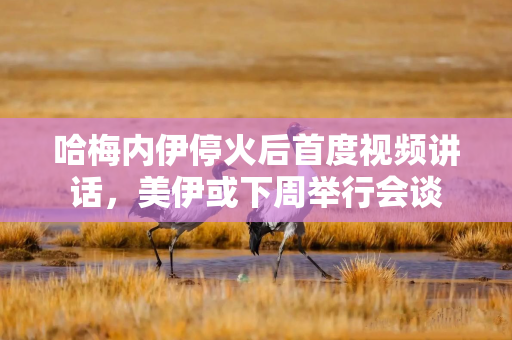 哈梅内伊停火后首度视频讲话，美伊或下周举行会谈