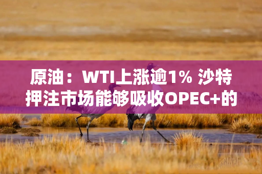 原油：WTI上涨逾1% 沙特押注市场能够吸收OPEC+的增产
