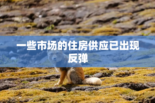 一些市场的住房供应已出现反弹