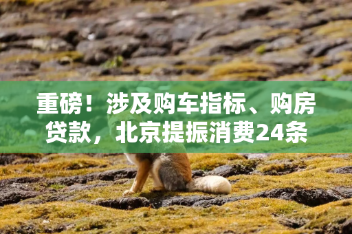 重磅！涉及购车指标、购房贷款，北京提振消费24条来了