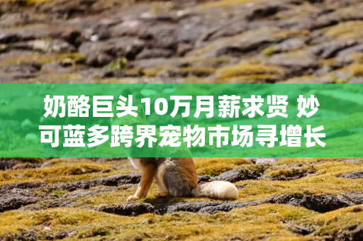 奶酪巨头10万月薪求贤 妙可蓝多跨界宠物市场寻增长