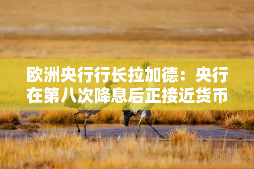 欧洲央行行长拉加德：央行在第八次降息后正接近货币政策周期尾声