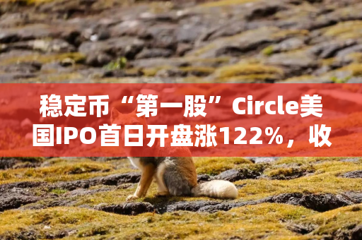 稳定币“第一股”Circle美国IPO首日开盘涨122%，收涨近170%