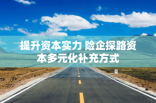 提升资本实力 险企探路资本多元化补充方式
