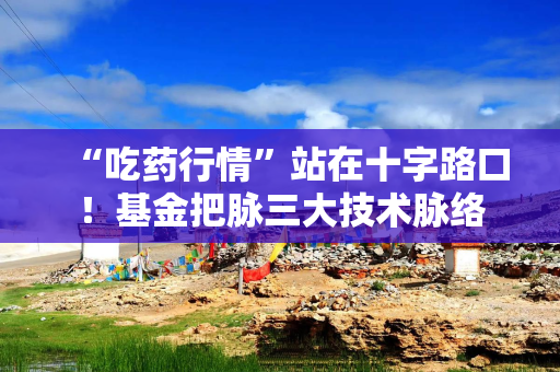 “吃药行情”站在十字路口！基金把脉三大技术脉络