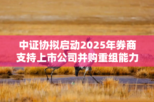 中证协拟启动2025年券商支持上市公司并购重组能力专项评价，指标涵盖三个方面