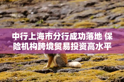 中行上海市分行成功落地 保险机构跨境贸易投资高水平开放试点首单业务