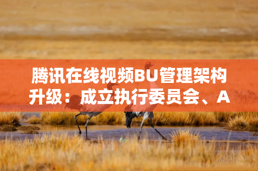 腾讯在线视频BU管理架构升级：成立执行委员会、AI影视表达工作室，孙忠怀任董事长