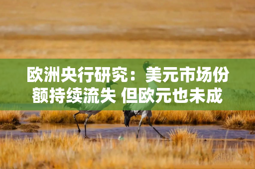 欧洲央行研究：美元市场份额持续流失 但欧元也未成为赢家