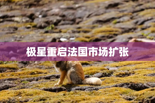 极星重启法国市场扩张