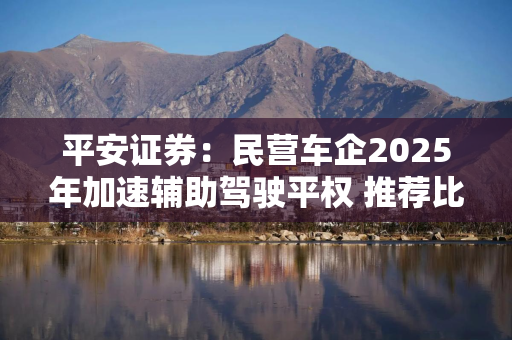 平安证券：民营车企2025年加速辅助驾驶平权 推荐比亚迪股份等