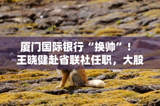 厦门国际银行“换帅”！ 王晓健赴省联社任职，大股东“一把手”直接掌舵