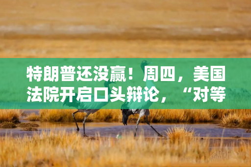 特朗普还没赢！周四，美国法院开启口头辩论，“对等关税”面临“取消风险”