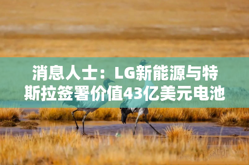 消息人士：LG新能源与特斯拉签署价值43亿美元电池供应协议