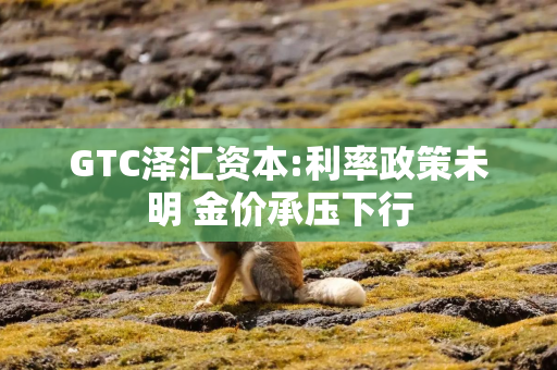GTC泽汇资本:利率政策未明 金价承压下行