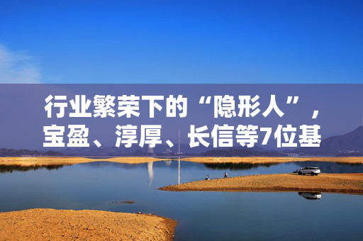 行业繁荣下的“隐形人”，宝盈、淳厚、长信等7位基金经理管理规模低于200万