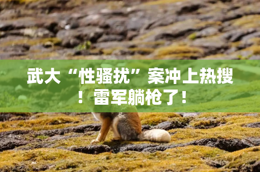 武大“性骚扰”案冲上热搜！雷军躺枪了！