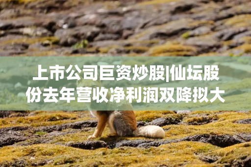 上市公司巨资炒股|仙坛股份去年营收净利润双降拟大规模“炒股” 10亿元额度占净资产的21%